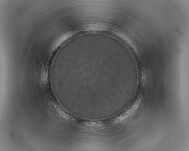 X0000111860874200907231450