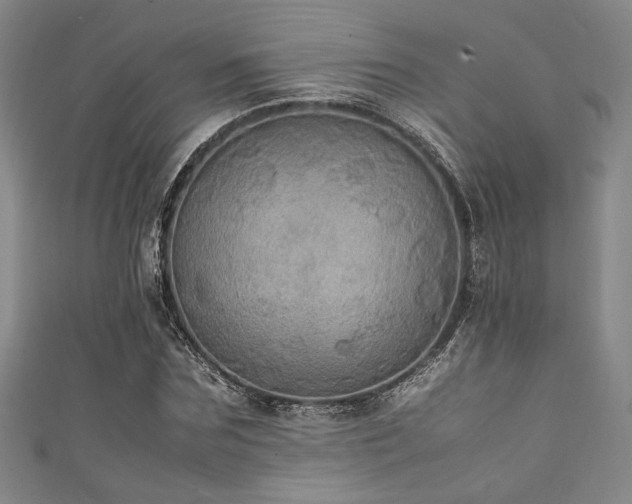 X0000111860875200907231450