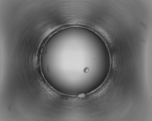 X0000111860876200907231450
