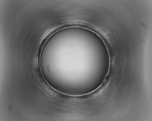 X0000111860877200907231450
