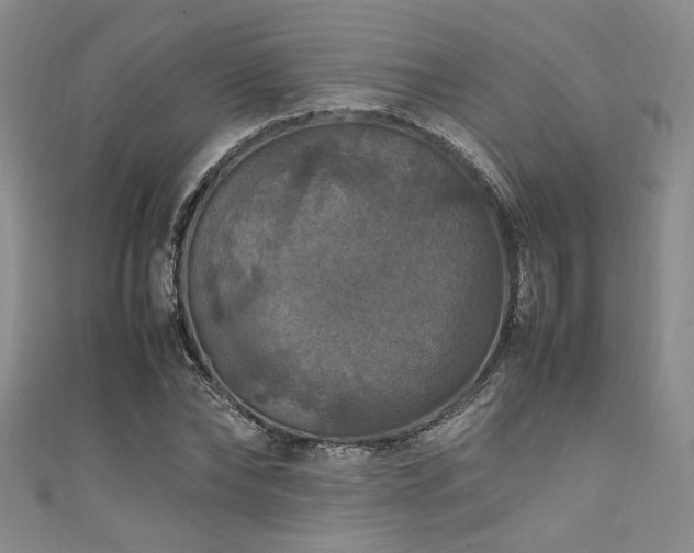 X0000111860878200907231450