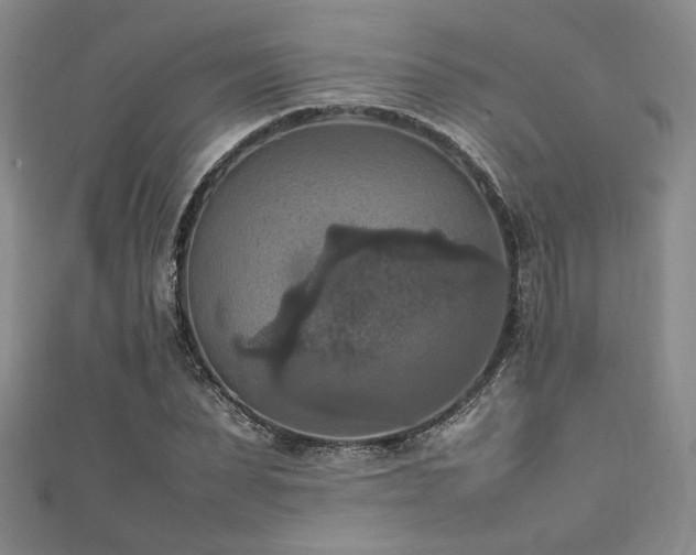 X0000111860879200907231450