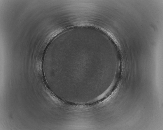 X0000111860881200907231450