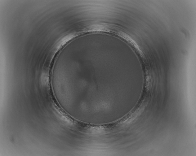 X0000111860882200907231450