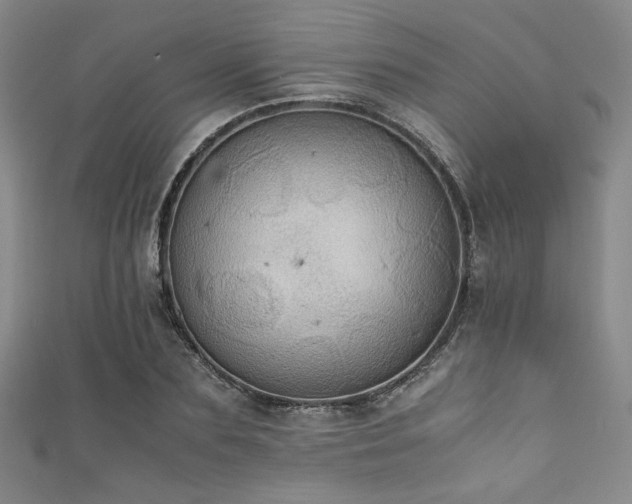 X0000111860883200907231450