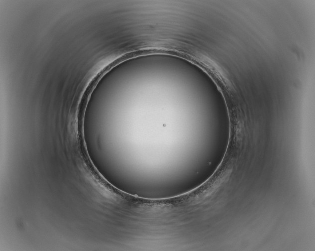 X0000111860884200907231450