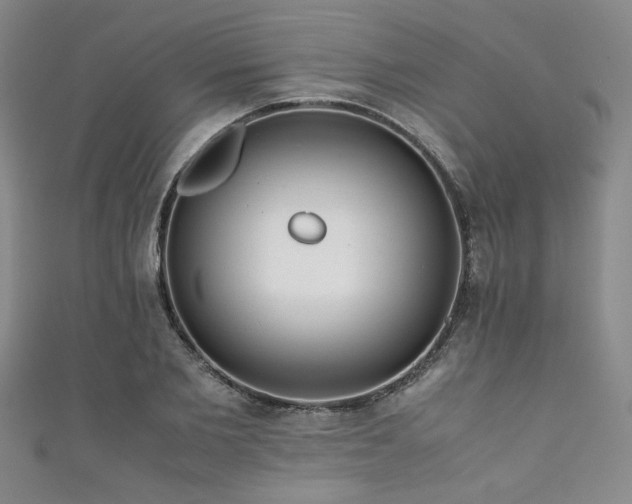 X0000111860885200907231450