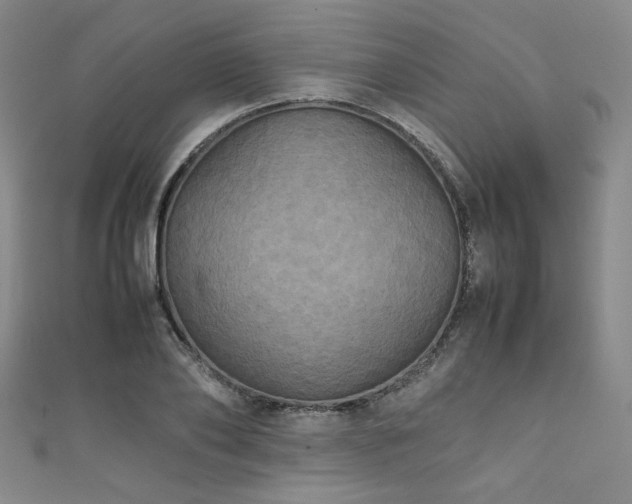 X0000111860886200907231449
