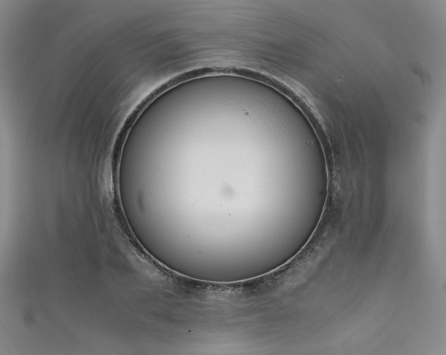 X0000111860887200907231449