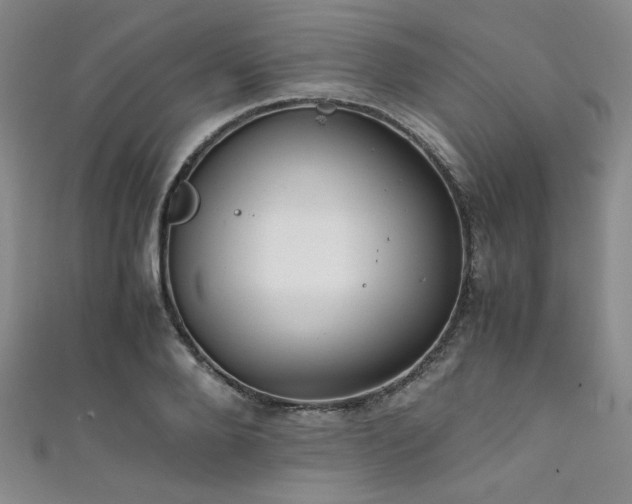 X0000111860888200907231449