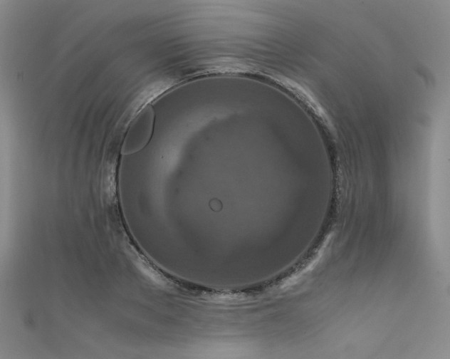 X0000111860889200907231449