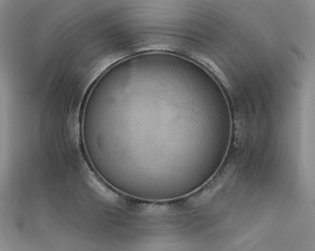 X0000111860890200907231449