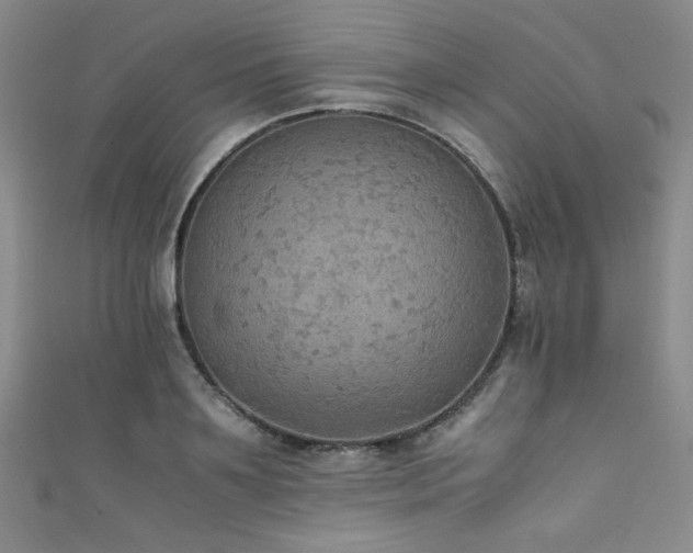 X0000111860891200907231449