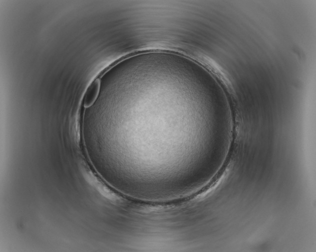 X0000111860892200907231449
