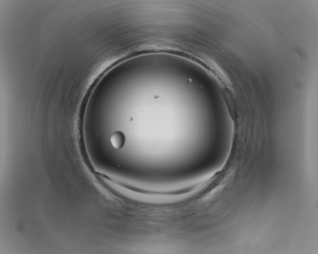 X0000111860893200907231449