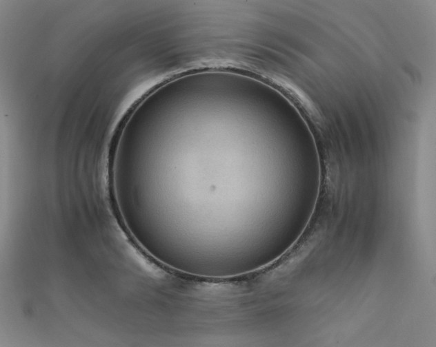 X0000111860894200907231449