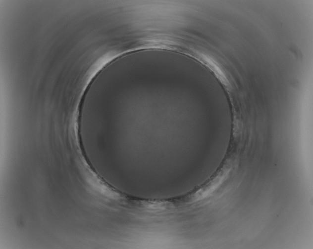 X0000111860899200907231449