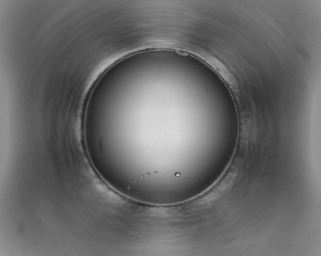 X0000111860904200907231449
