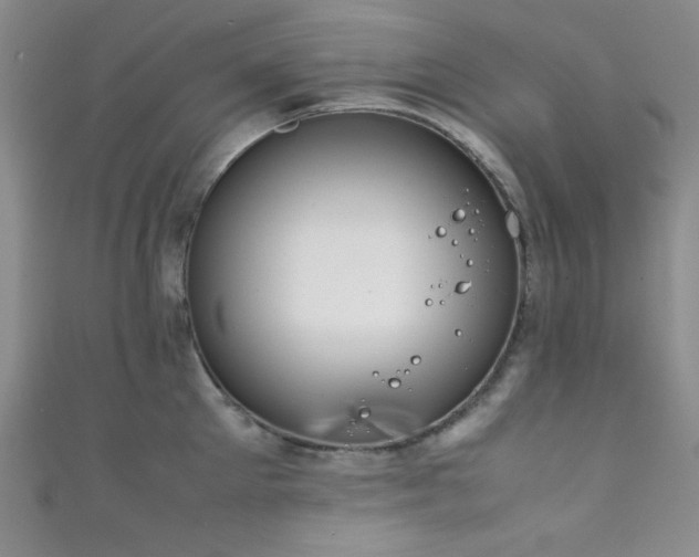 X0000111860905200907231449