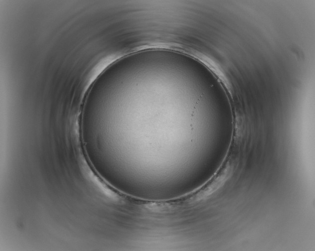 X0000111860906200907231449
