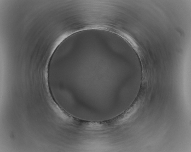 X0000111860907200907231449