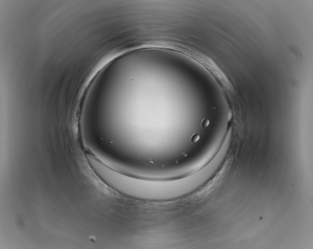 X0000111860908200907231449