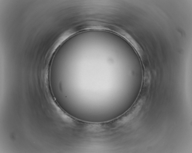X0000111860909200907231449