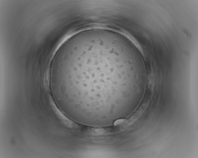 X0000111860911200907231449