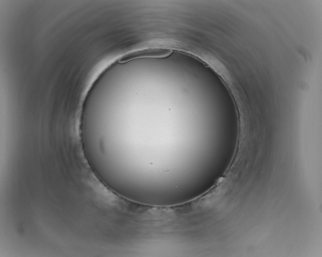 X0000111860912200907231449