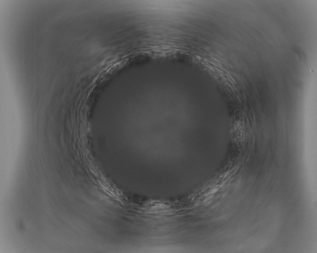 X0000111860913200907231448