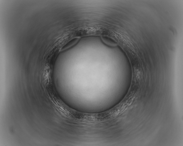 X0000111860914200907231448