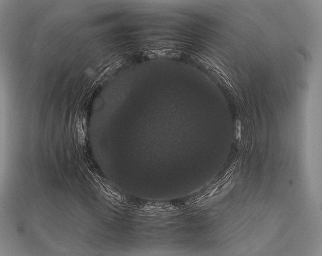 X0000111860915200907231448