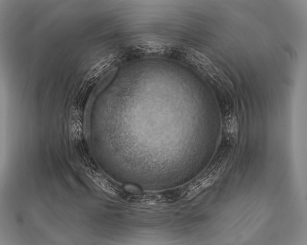 X0000111860916200907231448