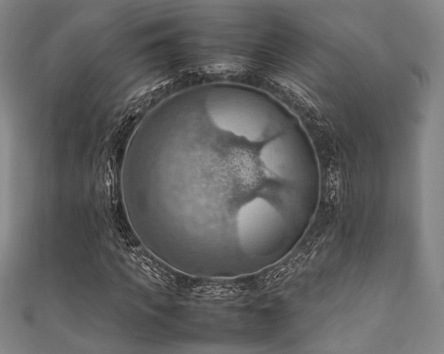 X0000111860917200907231448