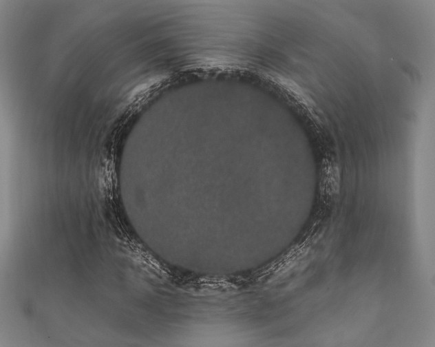 X0000111860918200907231448