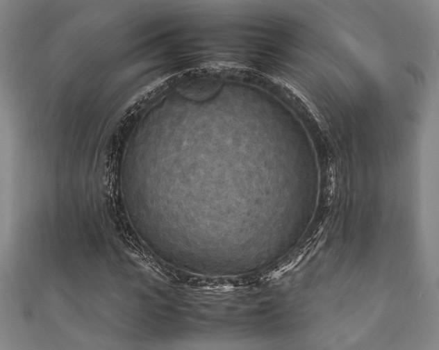 X0000111860919200907231448