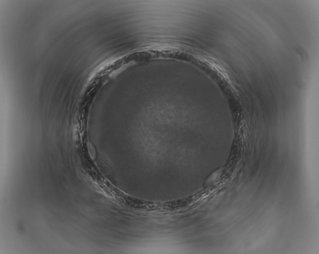 X0000111860920200907231448