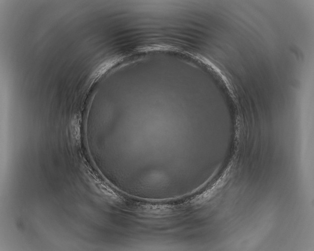 X0000111860921200907231448