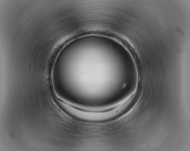 X0000111860922200907231448