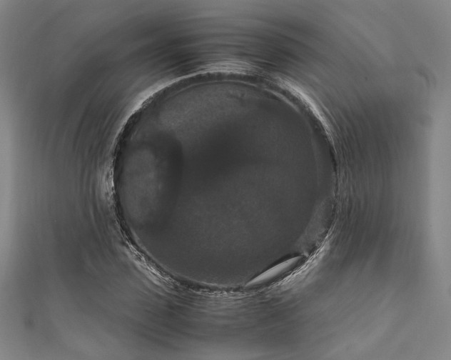 X0000111860923200907231448