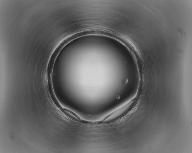 X0000111860924200907231449