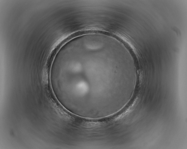 X0000111860925200907231449