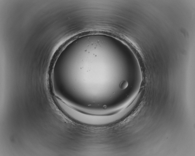 X0000111860928200907231449