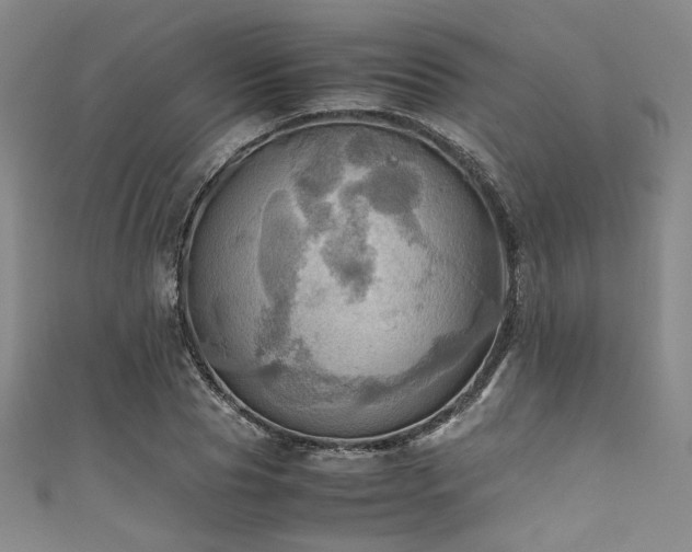 X0000111860929200907231449