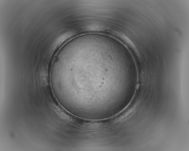 X0000111860930200907231449