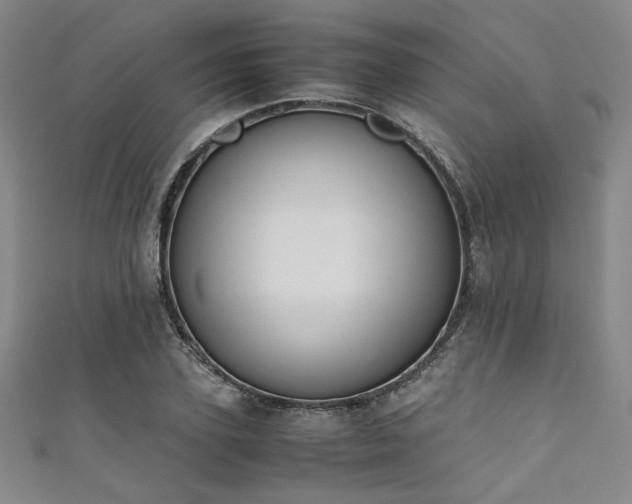X0000111860931200907231449