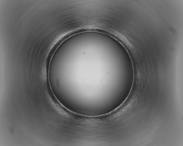 X0000111860934200907231449
