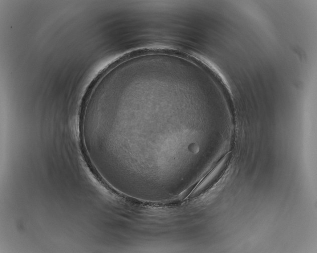 X0000111860935200907231449