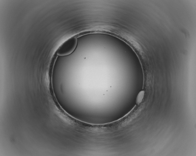 X0000111860936200907231449