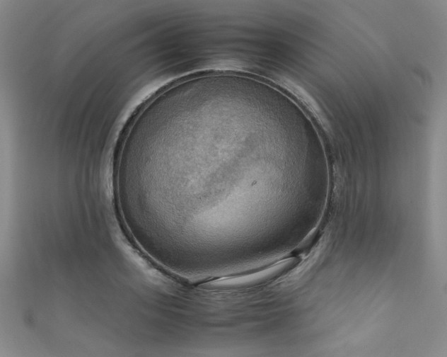 X0000111860939200907231449